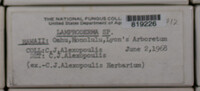 Image Associated With the Occurence